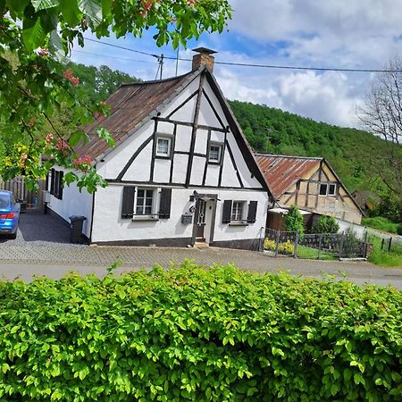 Landhaus Eifel Demerath Bagian luar foto