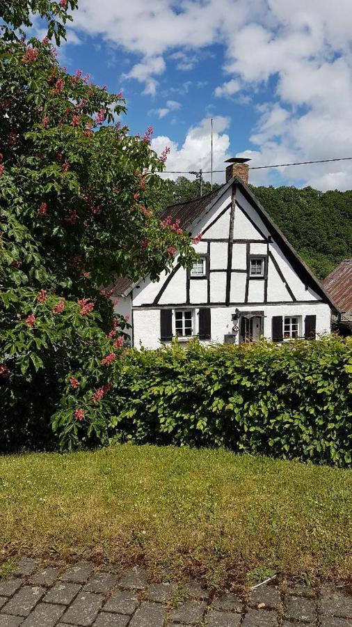 Landhaus Eifel Demerath Bagian luar foto