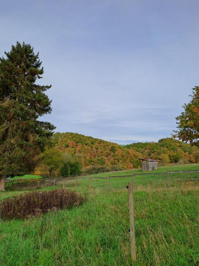 Landhaus Eifel Demerath Bagian luar foto