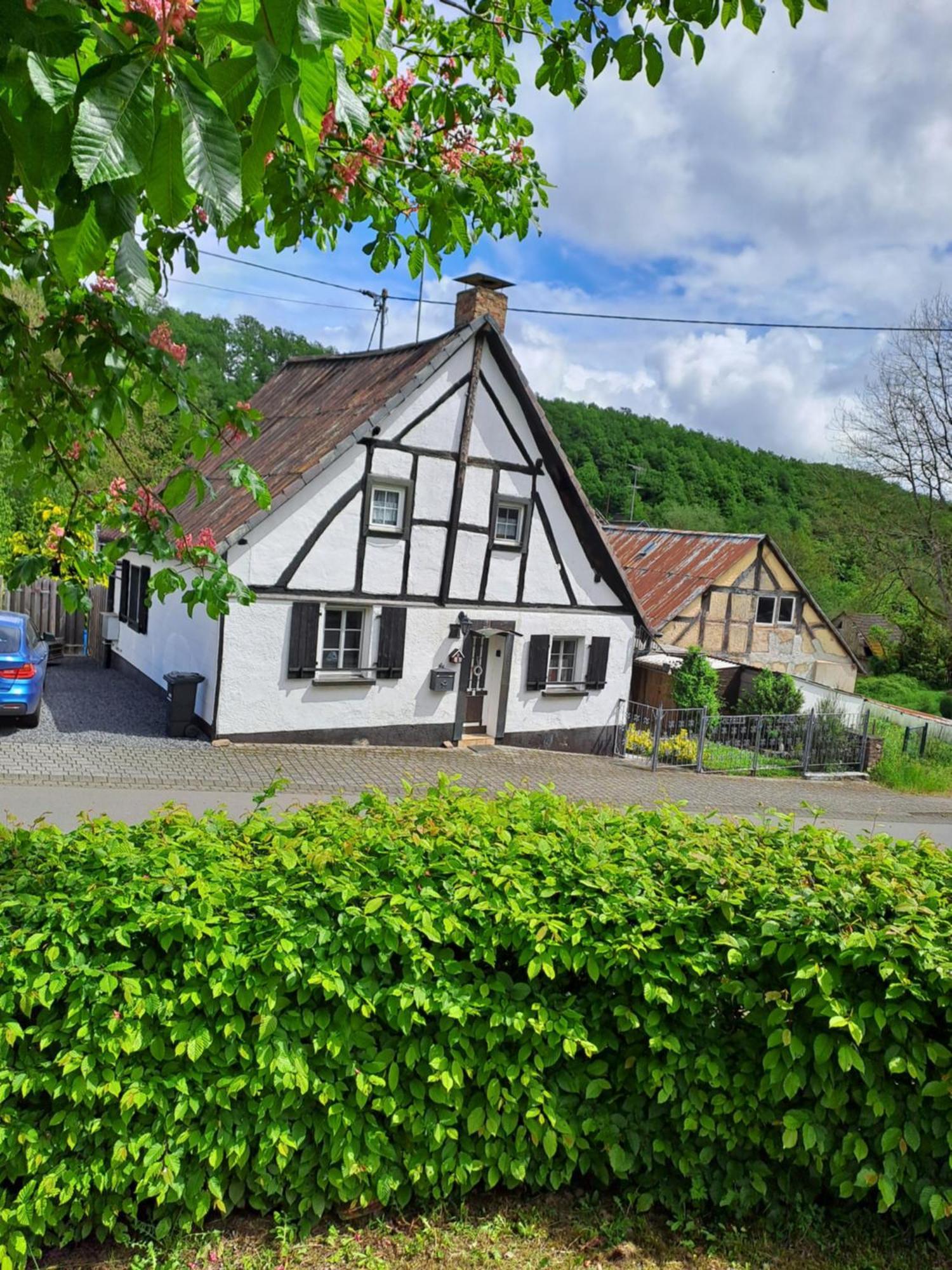 Landhaus Eifel Demerath Bagian luar foto